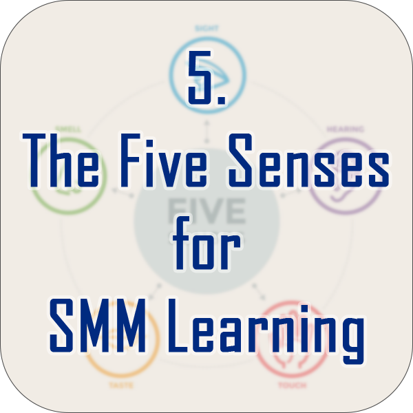 The Five Senses of SMM Learning